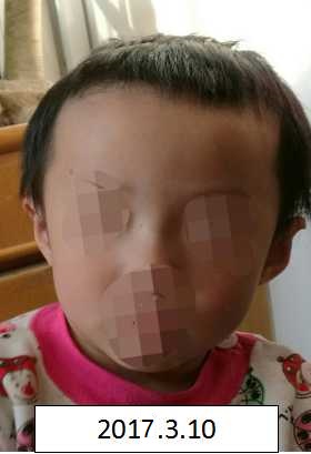 免费肏屄视频大全